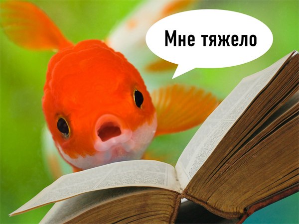 fish-reading.jpg